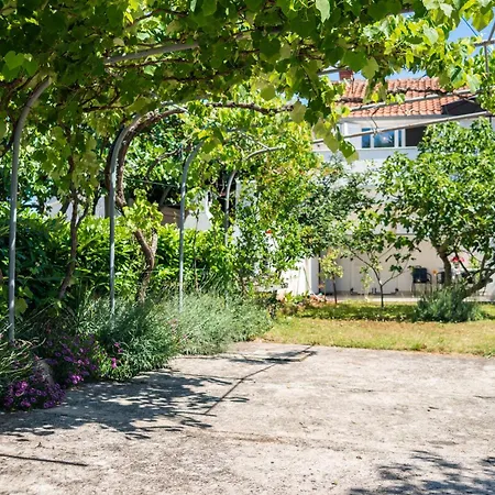 Vanta Vista Apartament Vantacici