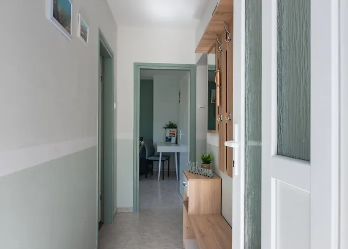 Vanta Vista Vantacici